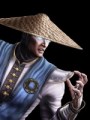 raiden mk9